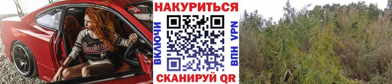 Магазин наркотиков Питкяранта Марихуана  Мефедрон  COCAIN  ГАШ 