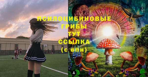 бошки Ельня