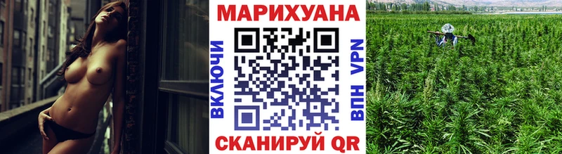 Бошки Шишки THC 21%  дарнет шоп  Питкяранта 